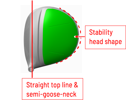 Straight top line & semi-goose-neck　Stability head shape